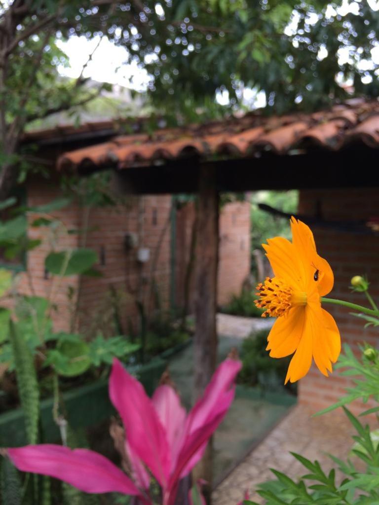 Beco das Garrafas
