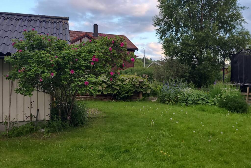 Photo 21