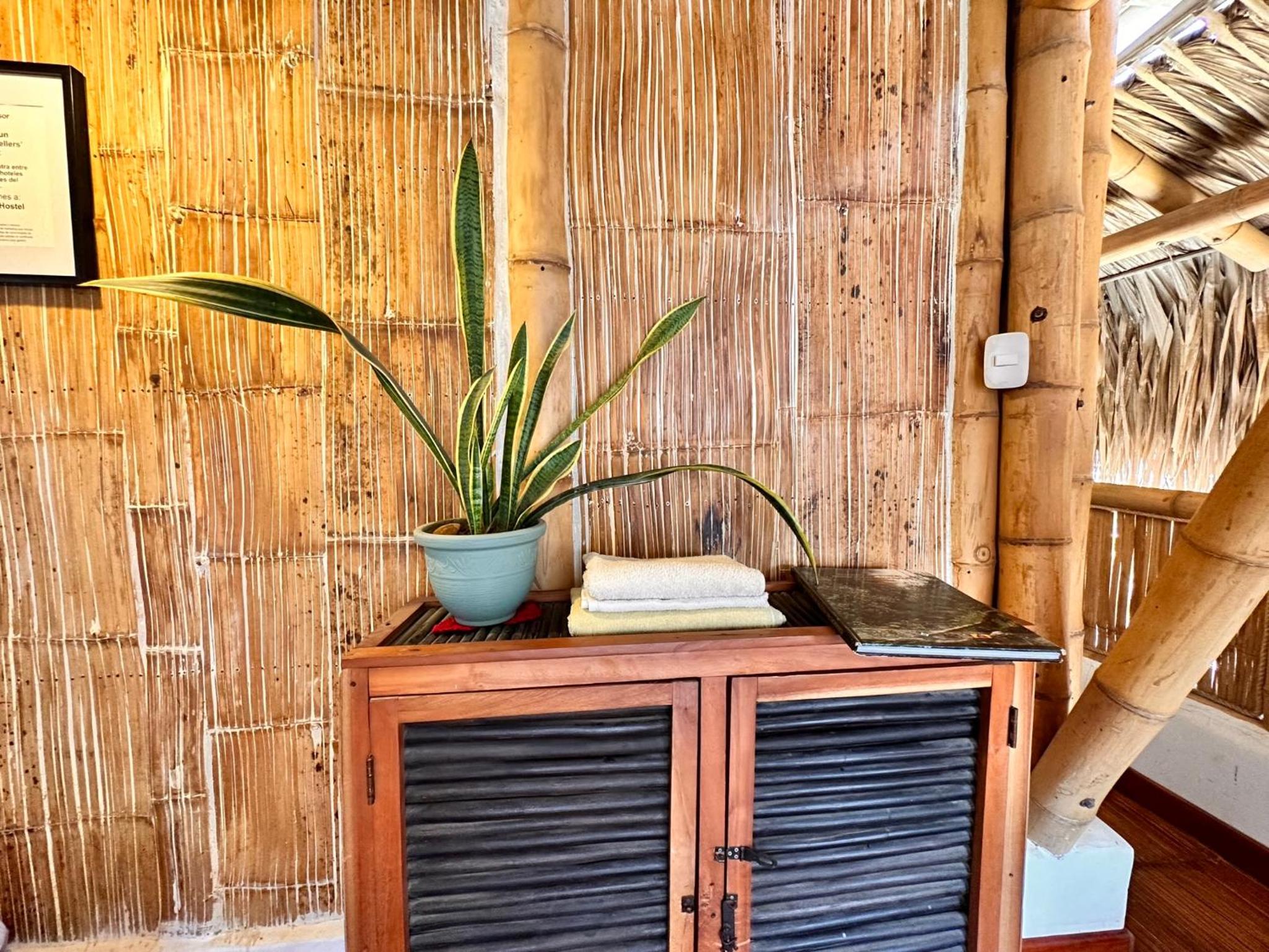 Bella Flor Hostel Palomino