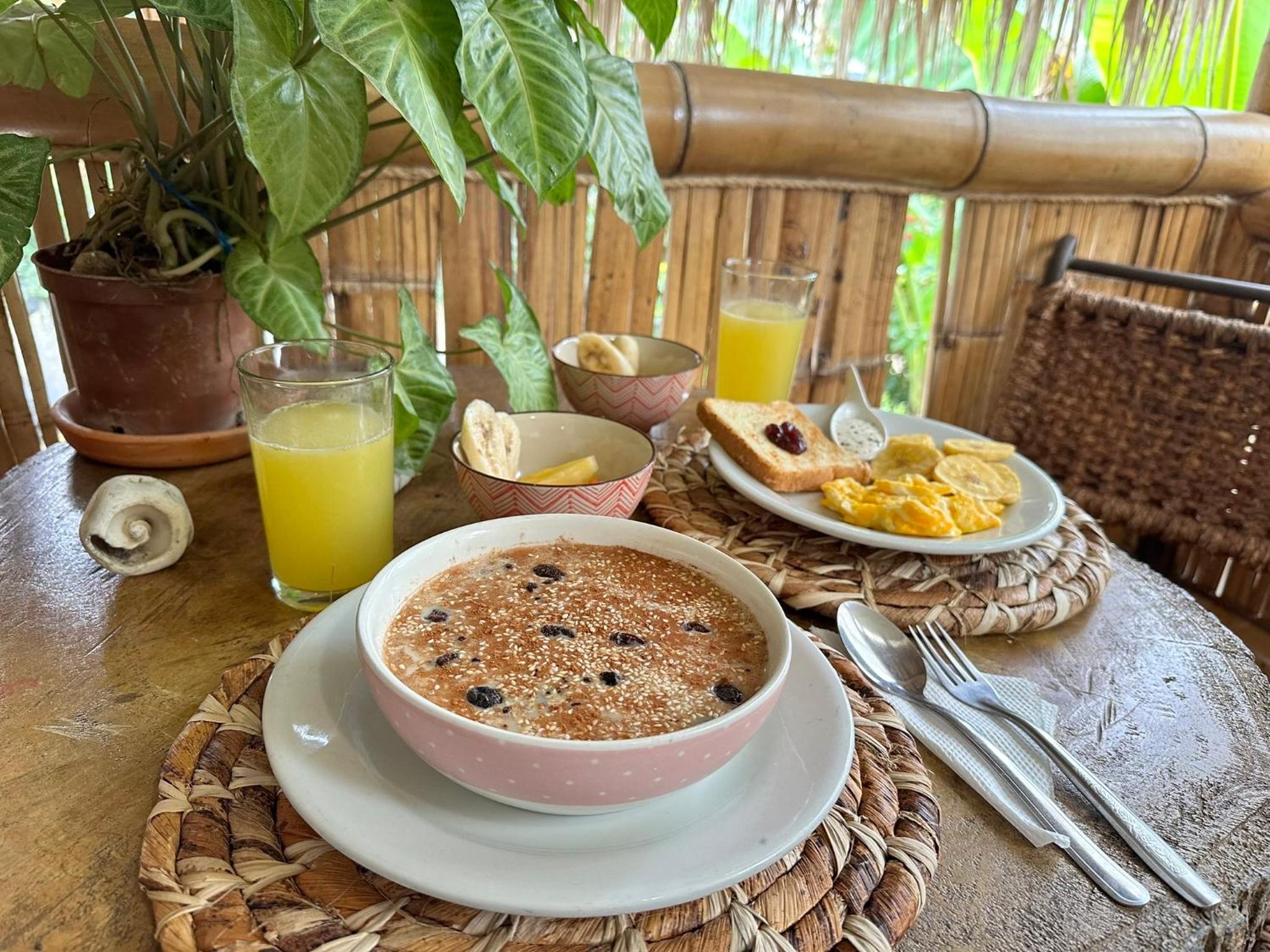 Bella Flor Hostel Palomino