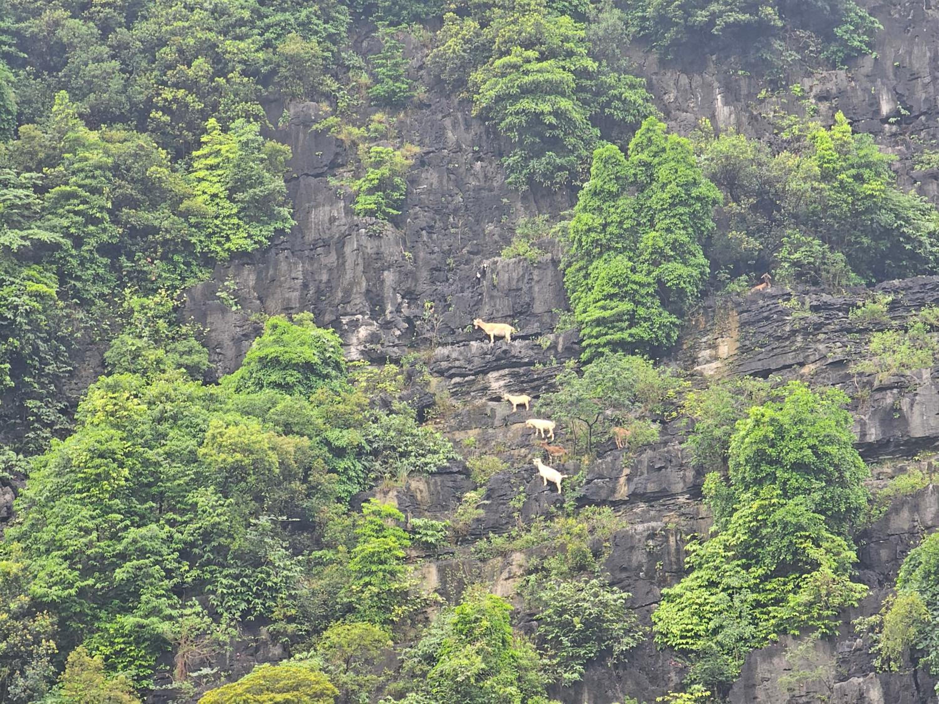 Fairy Mountain Retreat — photo 32
