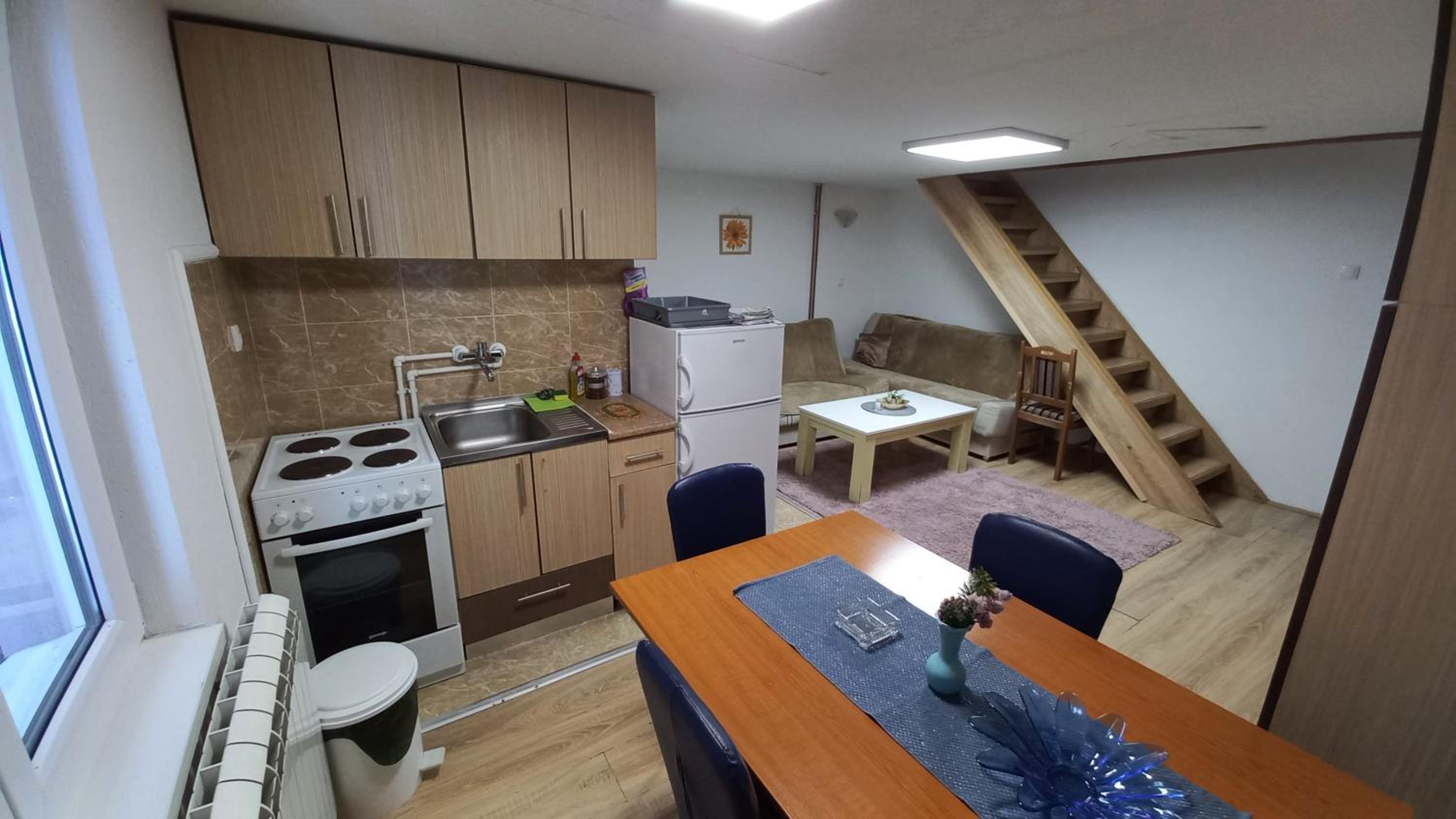 Kopaonik Apartman Aleksandar view 3