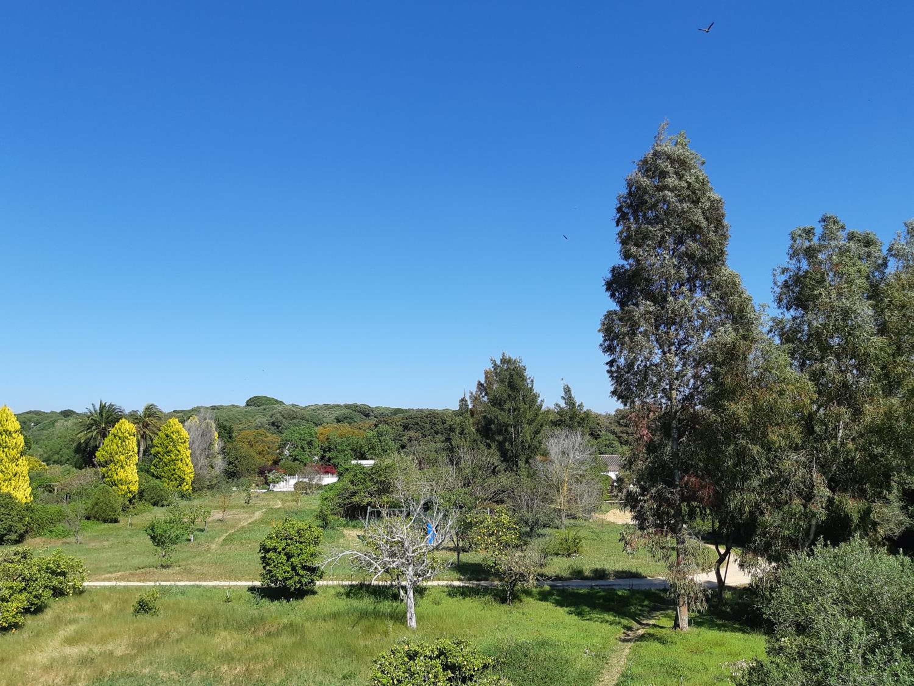 Cortijo del Sueño