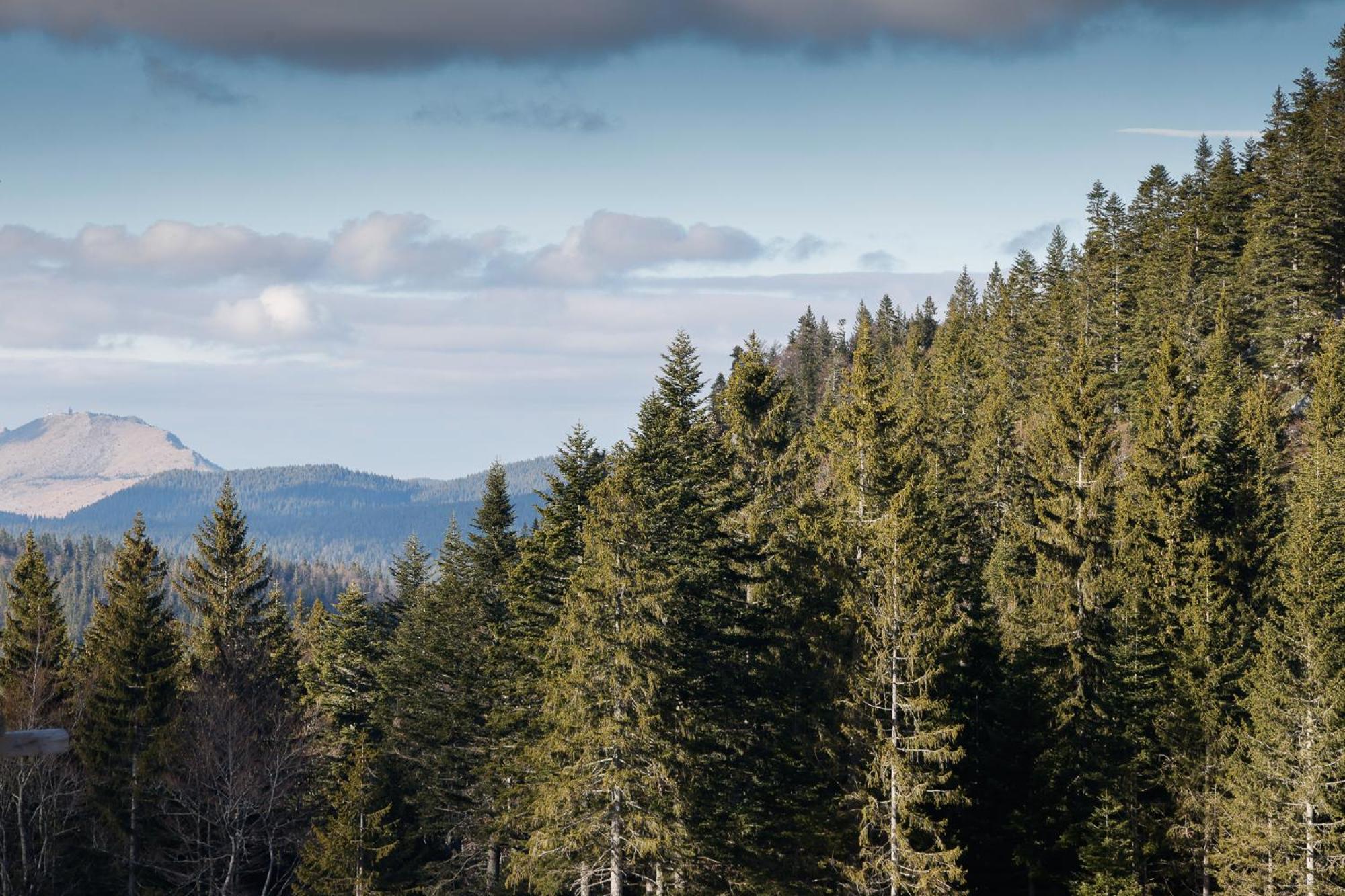 Apartmani Aria Jahorina