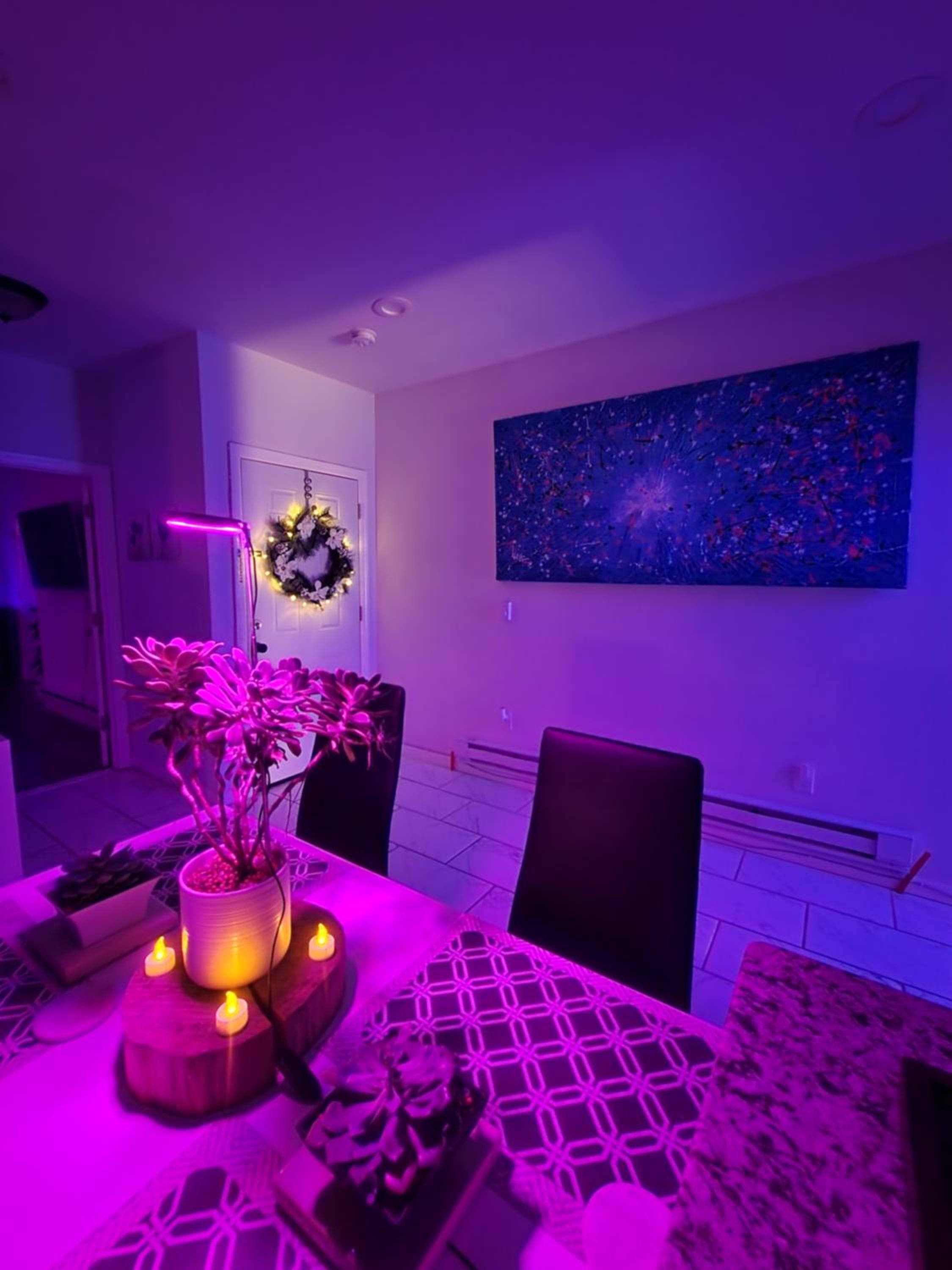 Newark Vacations - Serene Oasis Suite with private bathroom - Property Image 5