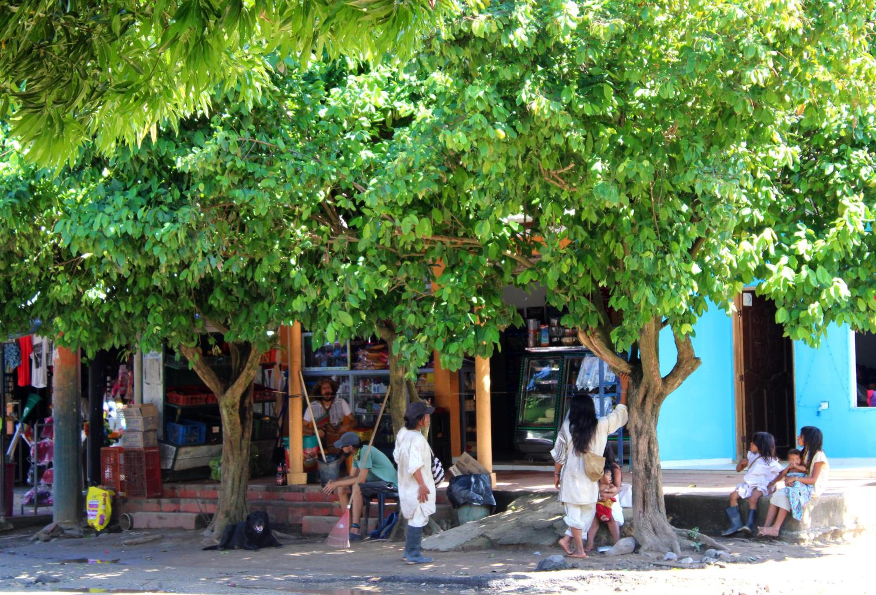 Bella Flor Hostel Palomino
