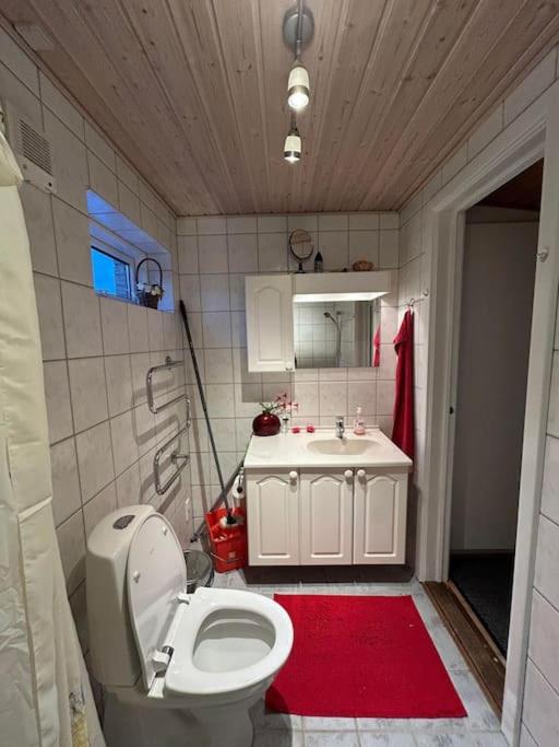 Cozy villa in peaceful area in Guldborg