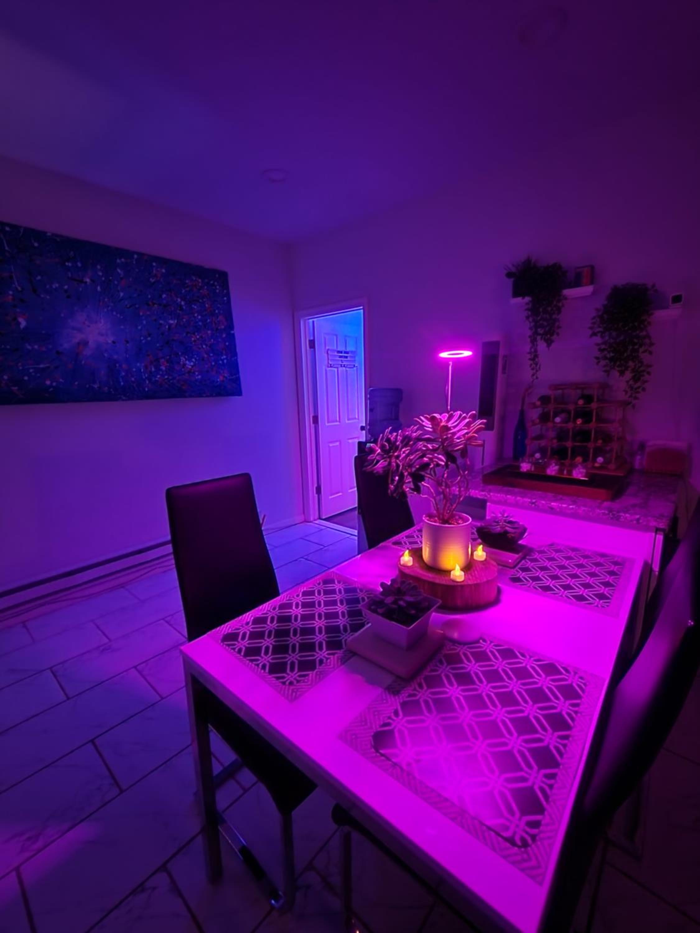 Newark Vacations - Serene Oasis Suite with private bathroom - Property Image 7