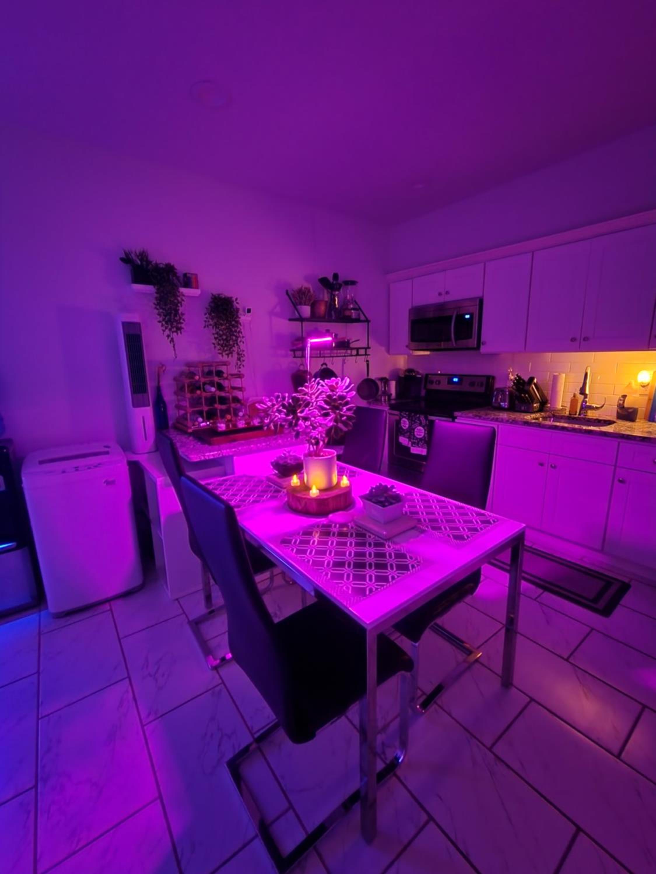 Newark Vacations - Serene Oasis Suite with private bathroom - Property Image 6