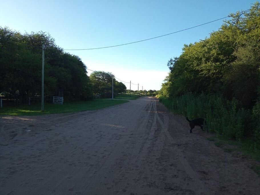 Hermosa casa de campo y bosques