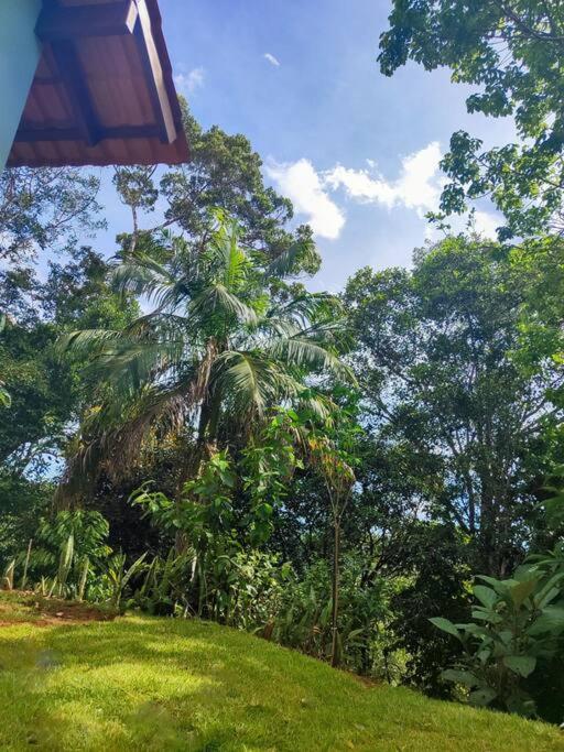Recanto do Príncipe, privacidade, paz e contato Com a natureza