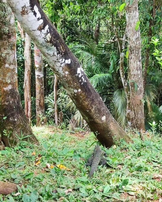 Recanto do Príncipe, privacidade, paz e contato Com a natureza