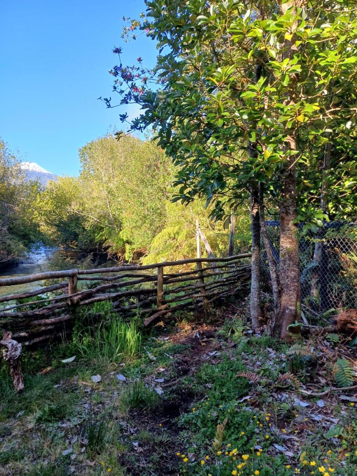 Cabaña en hornopiren