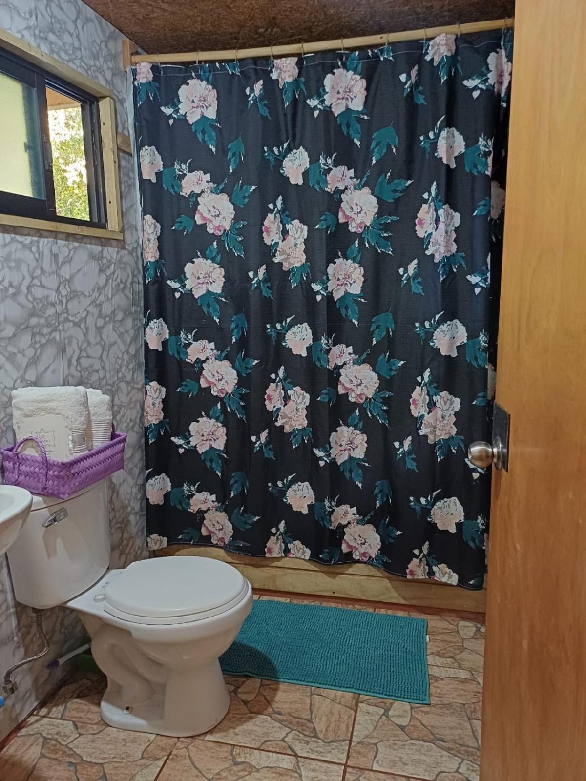 Cabaña en hornopiren