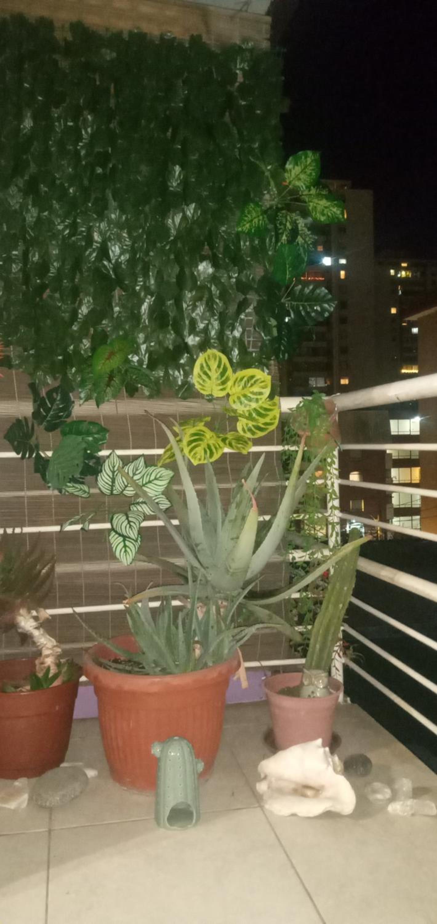 Céntrica y acogedora suit