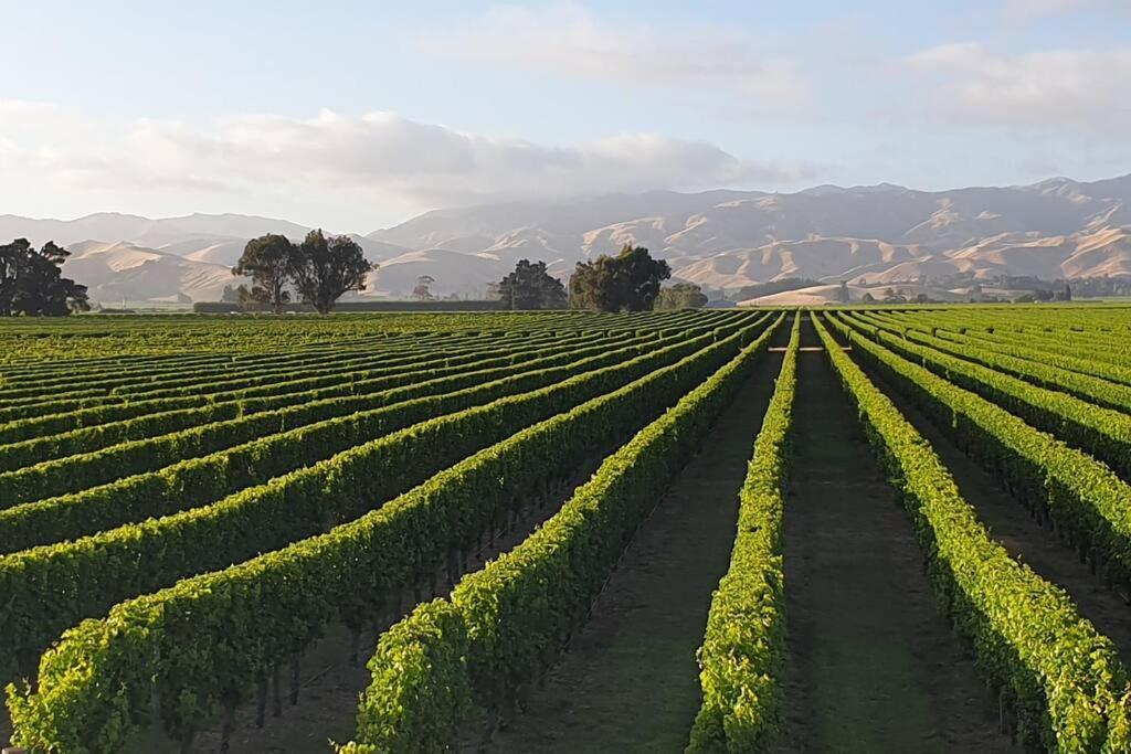Quail Run Cottage with stunning vineyard views view 3