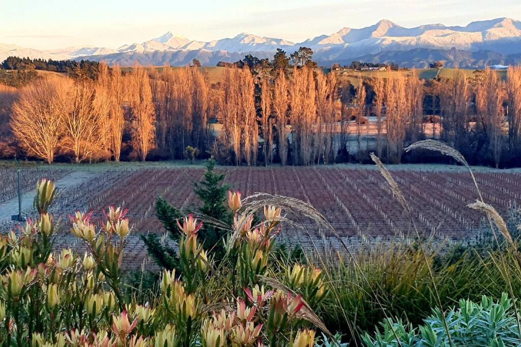 Quail Run Cottage with stunning vineyard views view 4