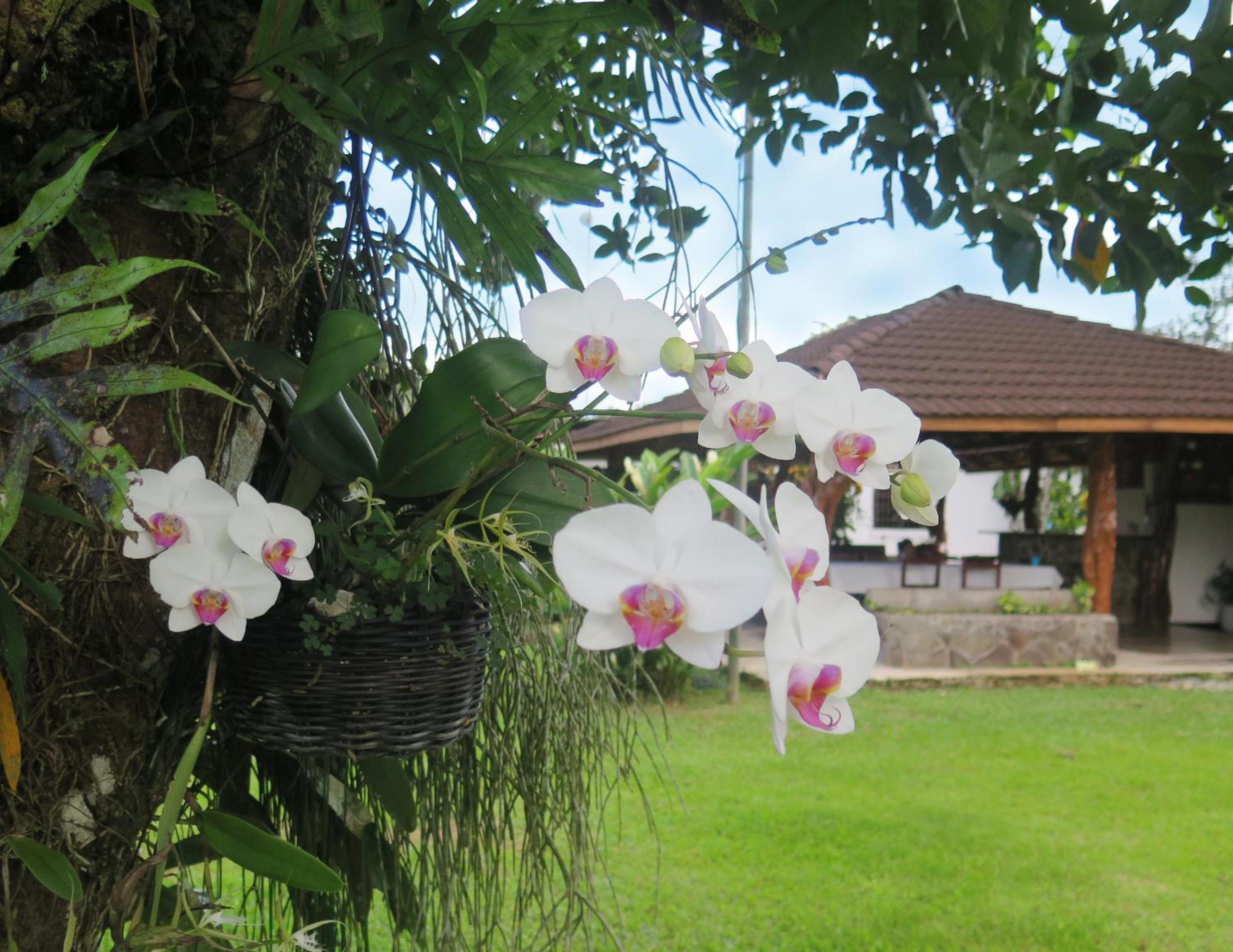 Casa El Rancho