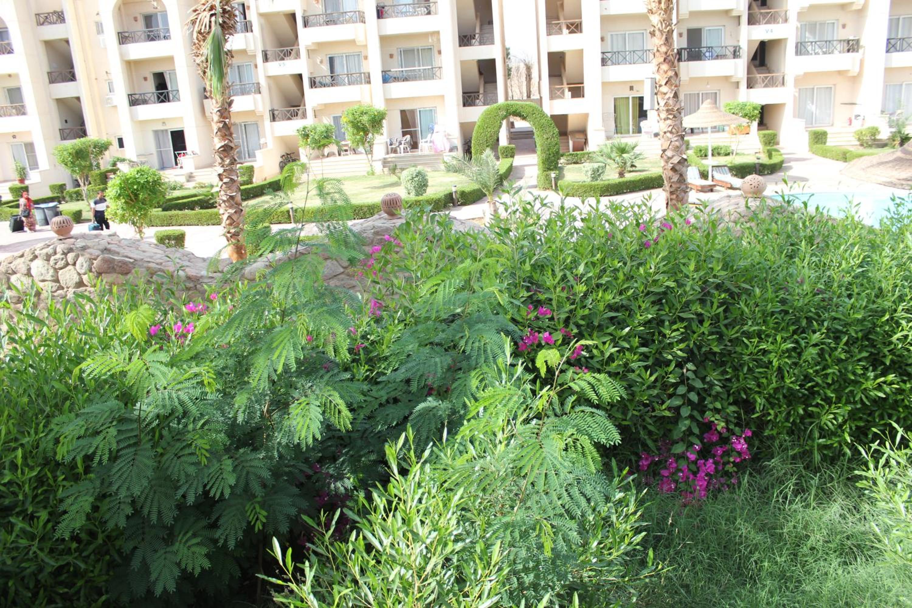 Pool front, Fast Wi-Fi, Great location view 2