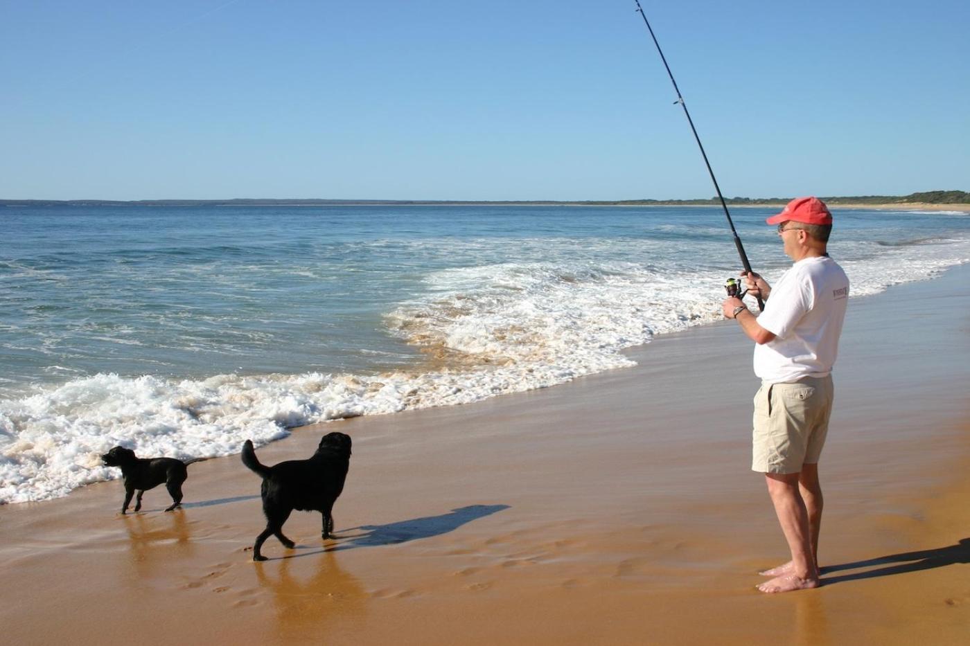 'South Pacific' - Luxury Oceanfront at Culburra!