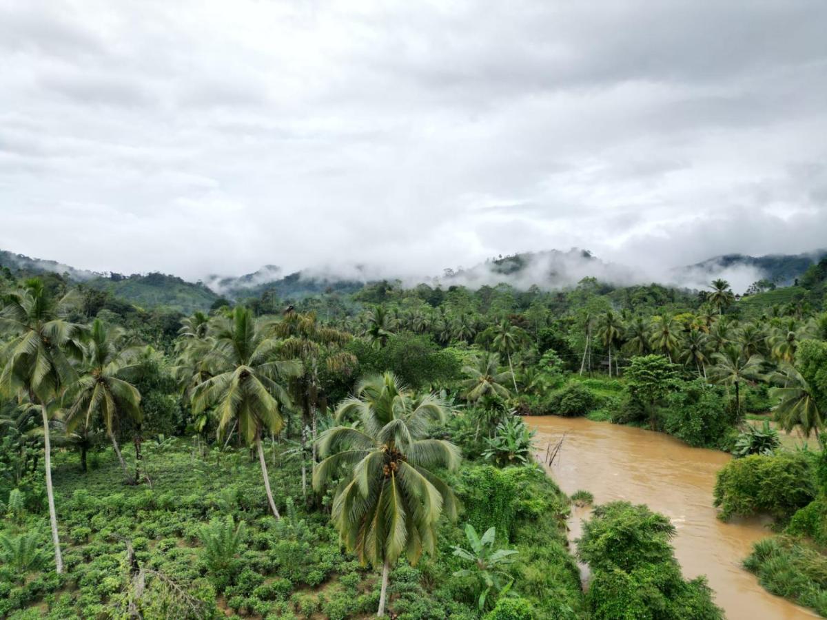 Sinharaja Hostel 114 view 5