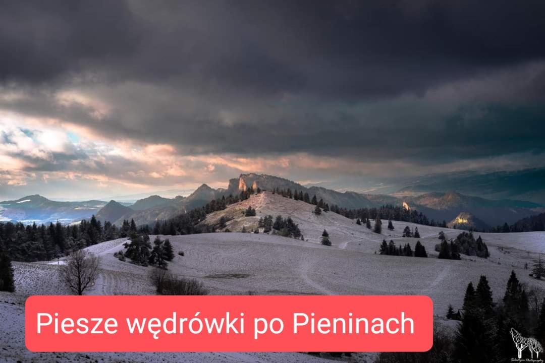 WILLA WIDOKOWA Apartamenty & Pokoje z widokiem na góry view 5