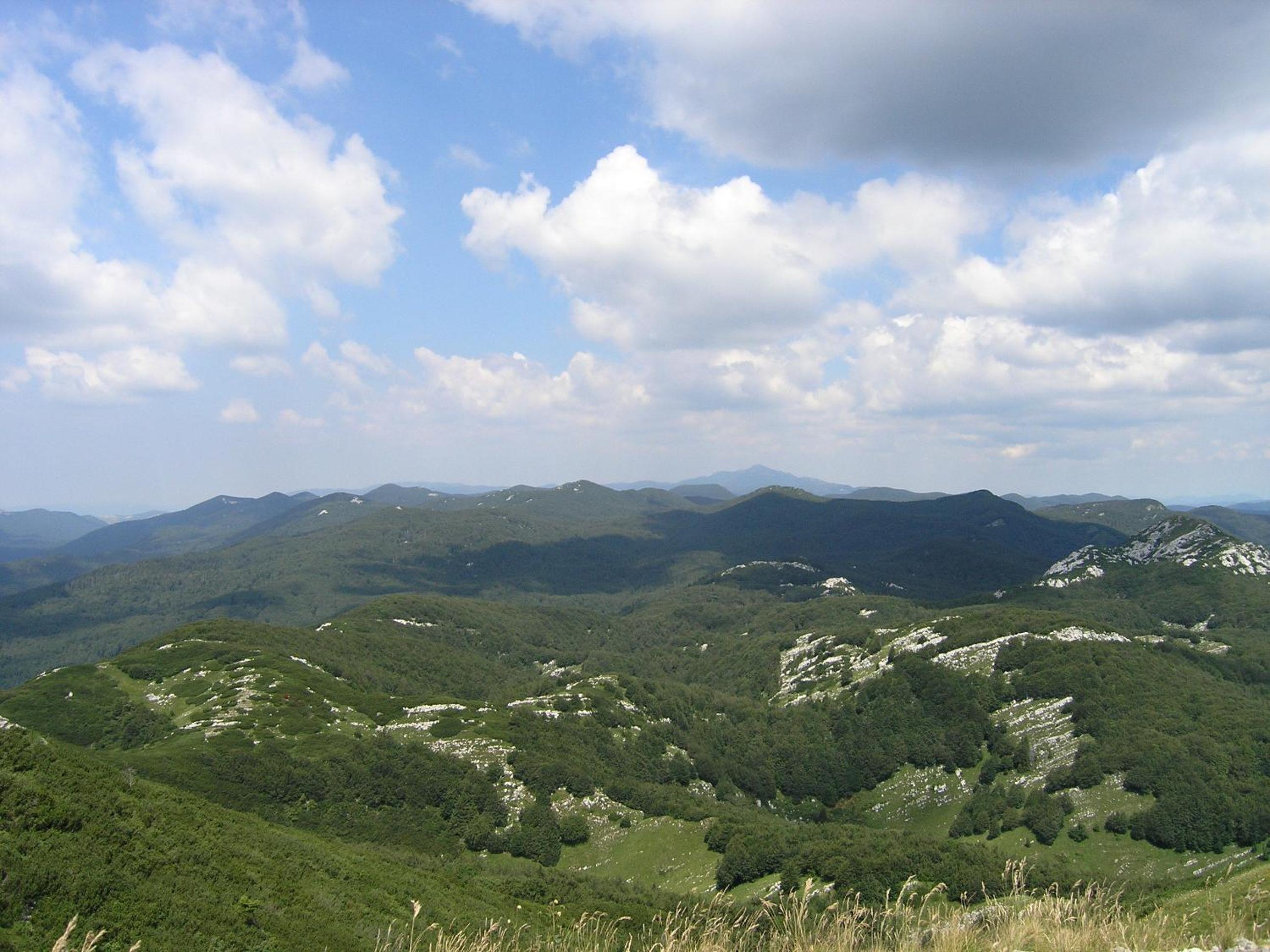 Photo 24