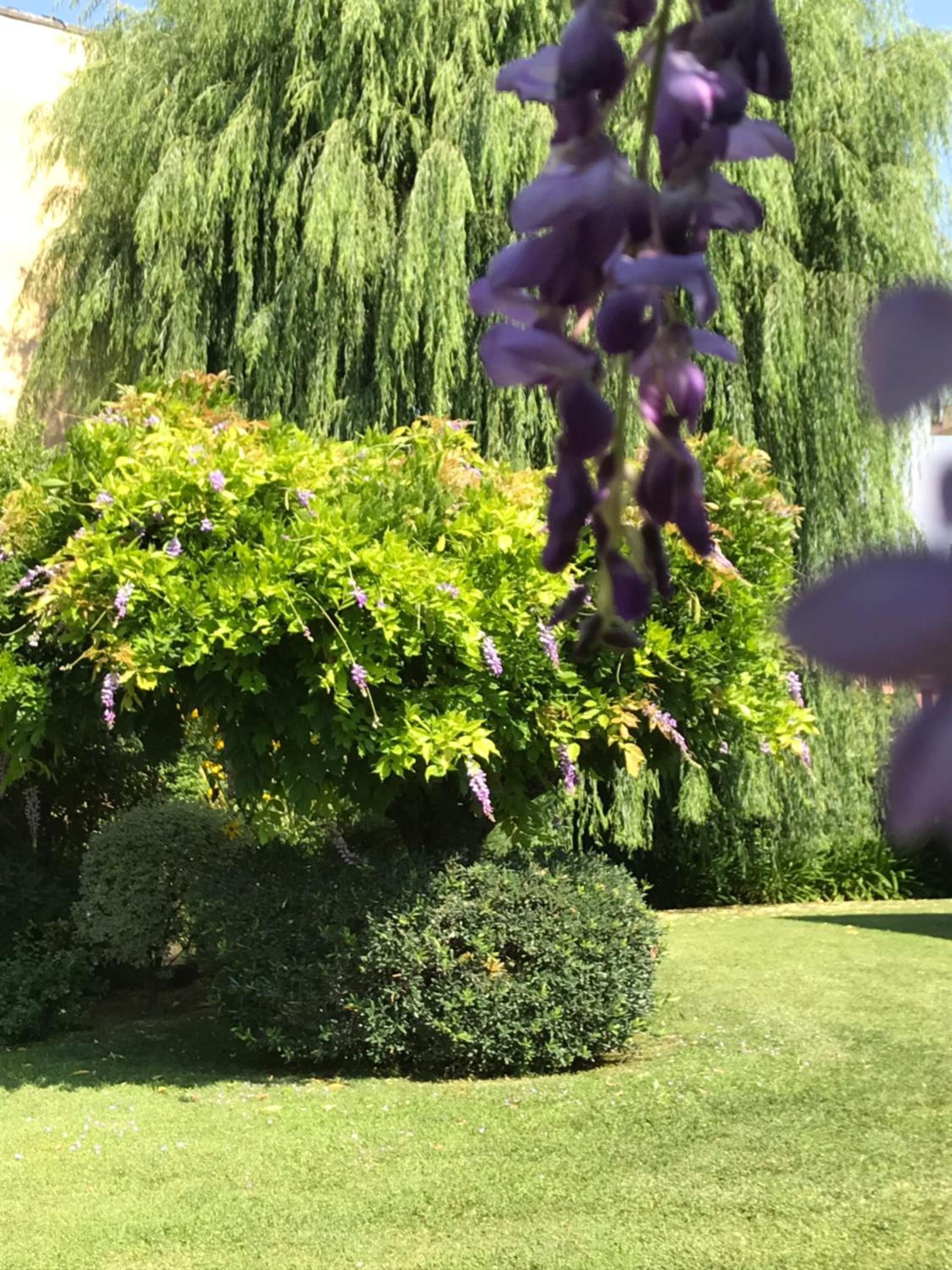 Photo 31