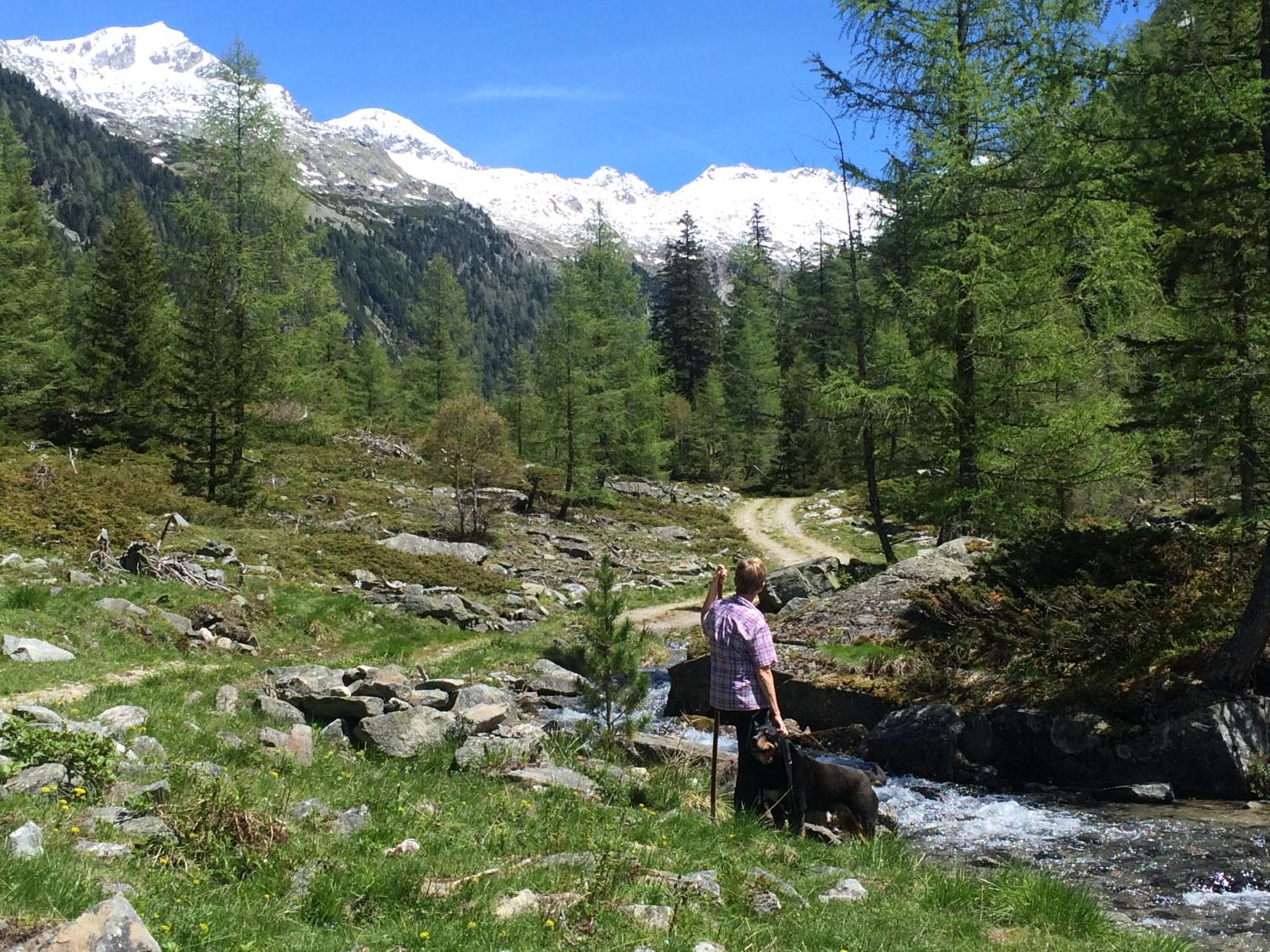 Ferienwohnungen Appartementhaus Hohe Tauern