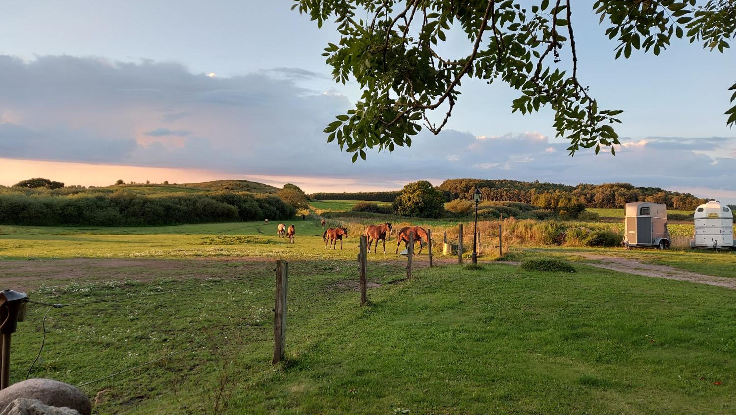 Lantligt och lugnt boende nära natur och stad