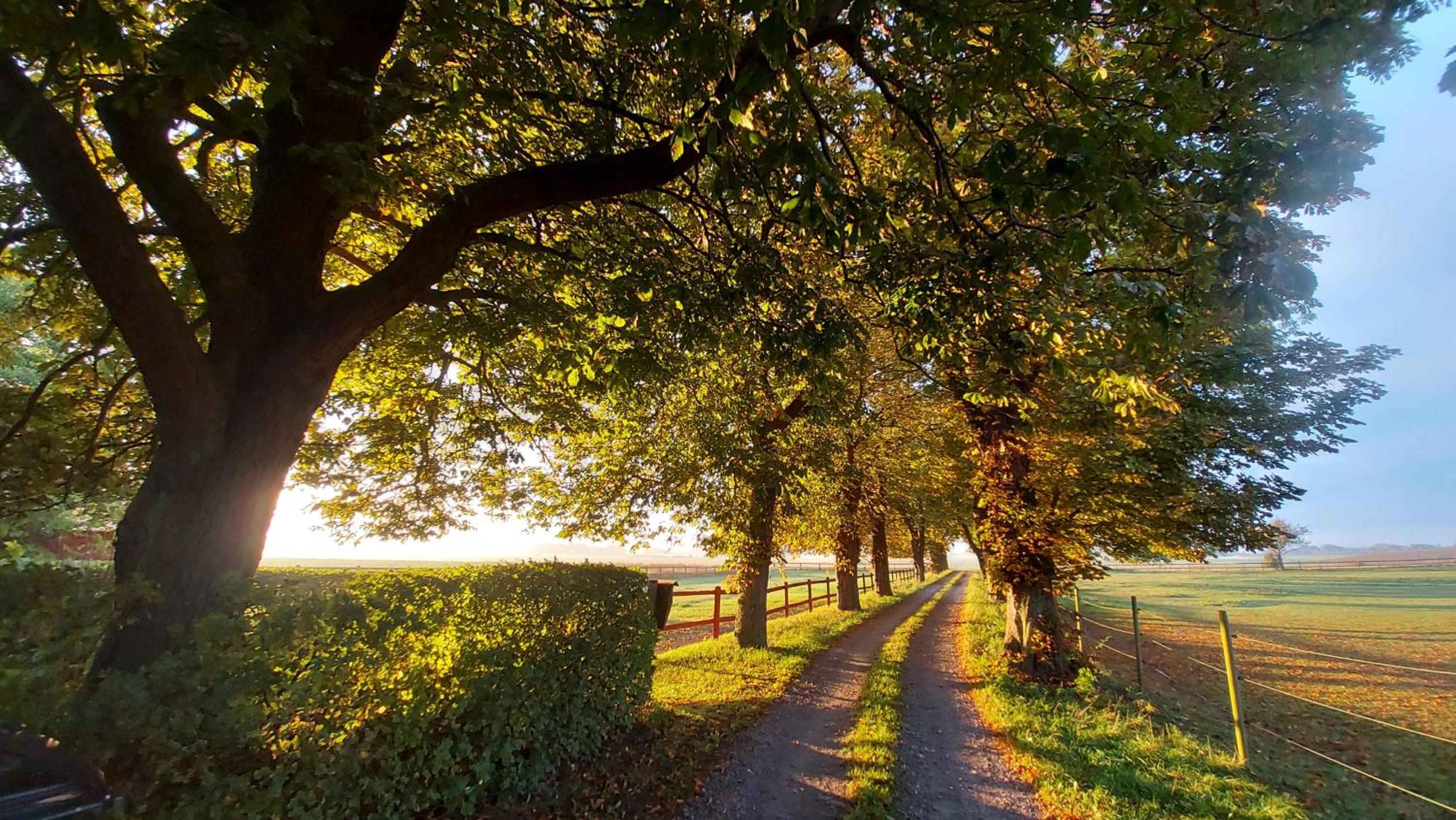 Lantligt och lugnt boende nära natur och stad