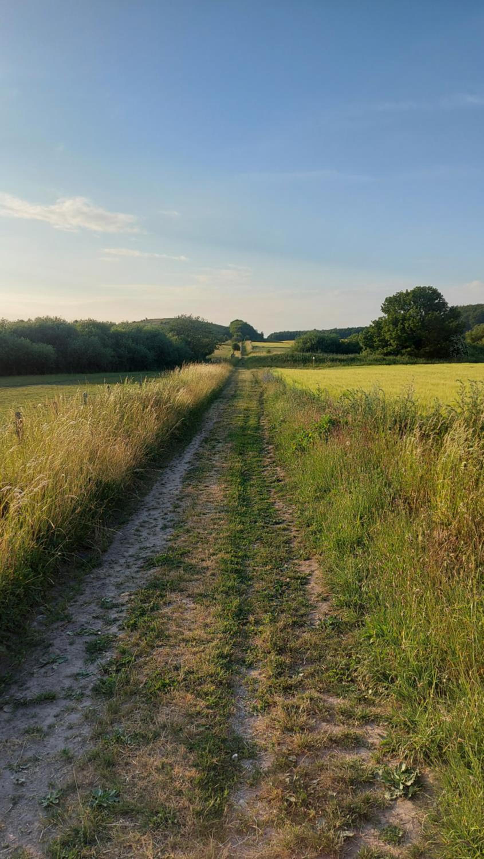Lantligt och lugnt boende nära natur och stad
