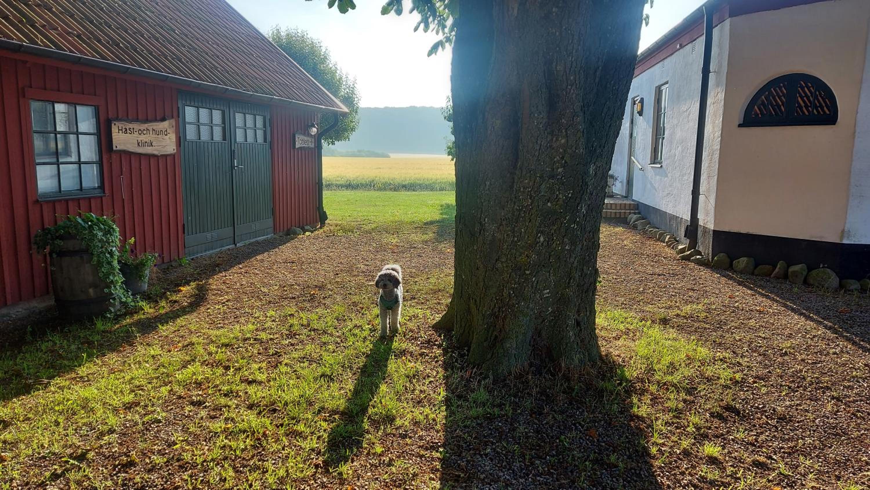 Lantligt och lugnt boende nära natur och stad