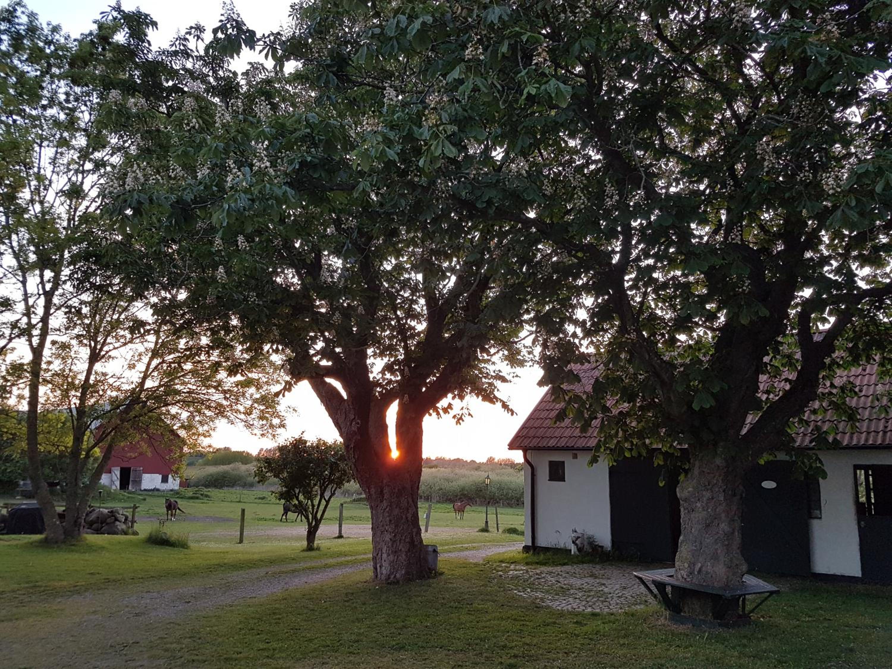 Lantligt och lugnt boende nära natur och stad