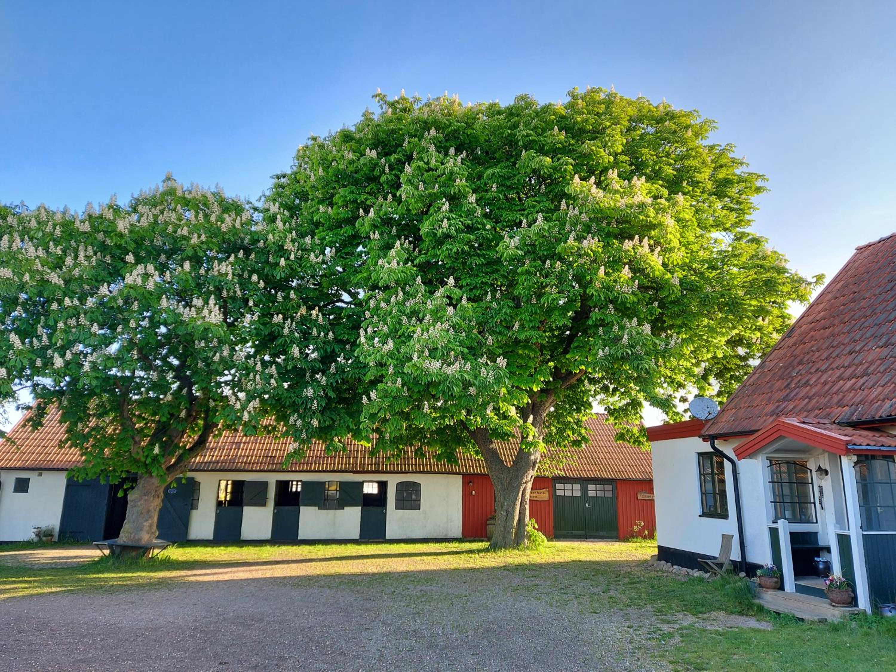 Lantligt och lugnt boende nära natur och stad