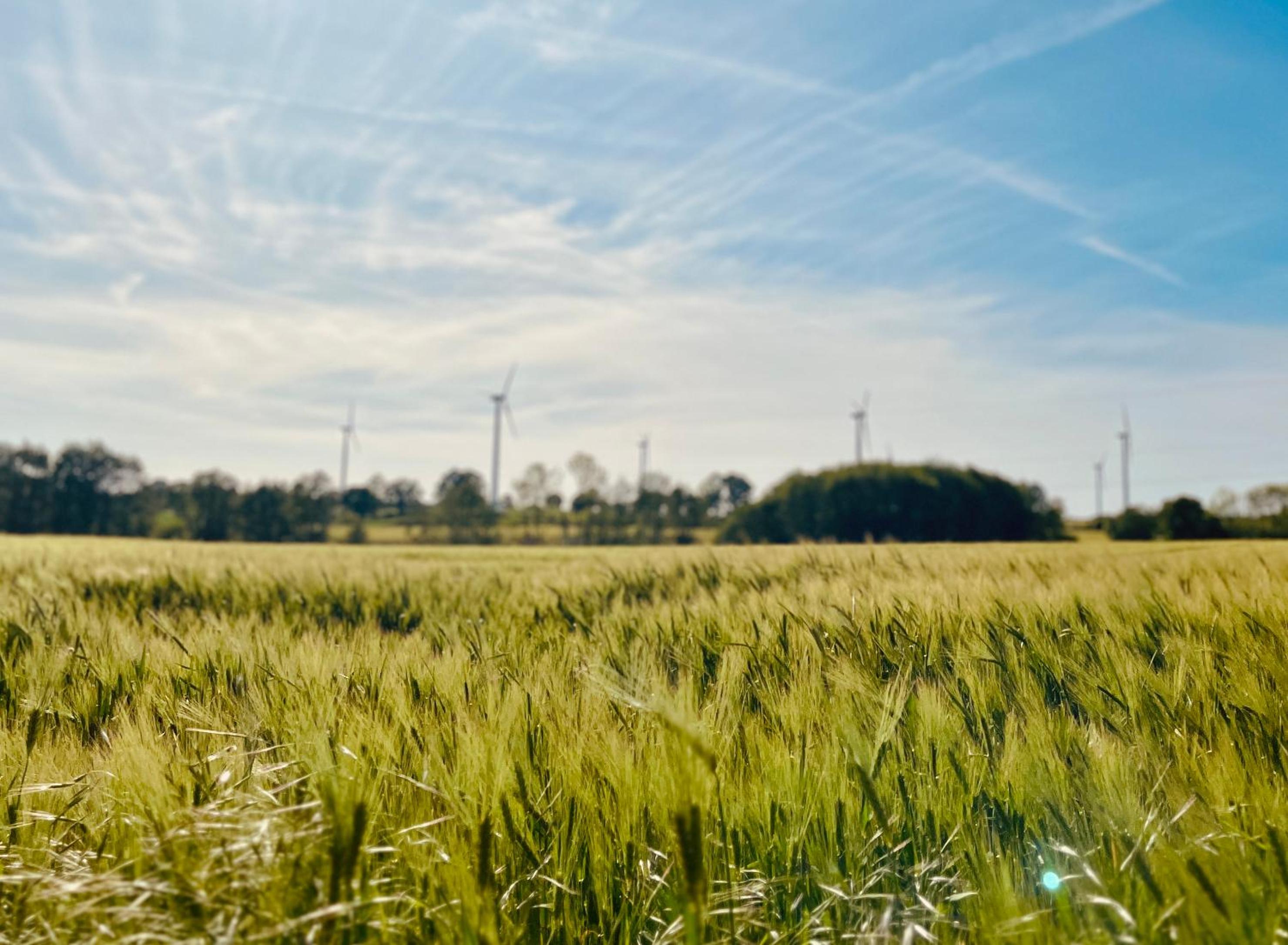 Wohlfühl Oase In Traumhafter Gegend