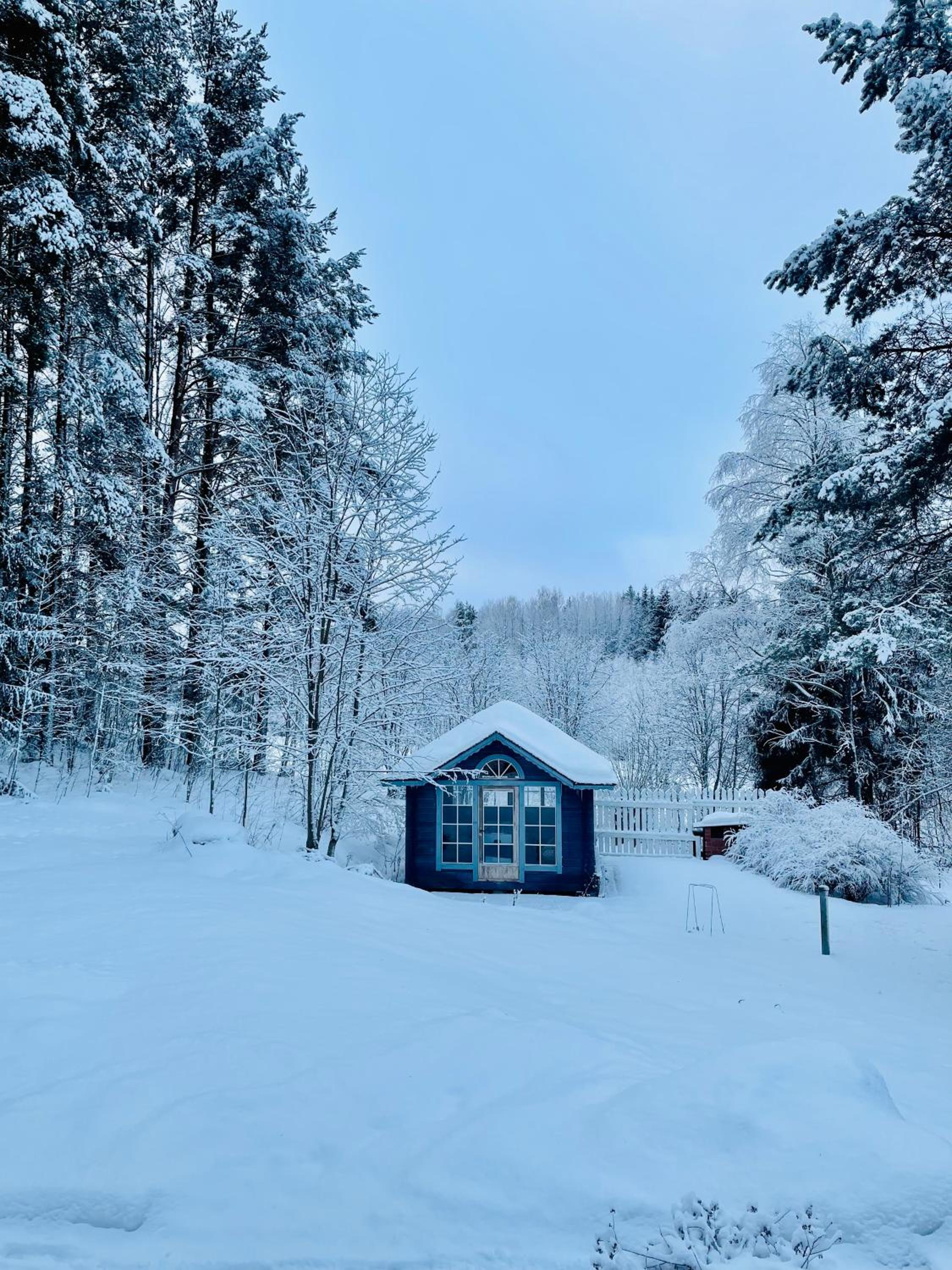 Blueberry Villa at Saimaa Lakeside