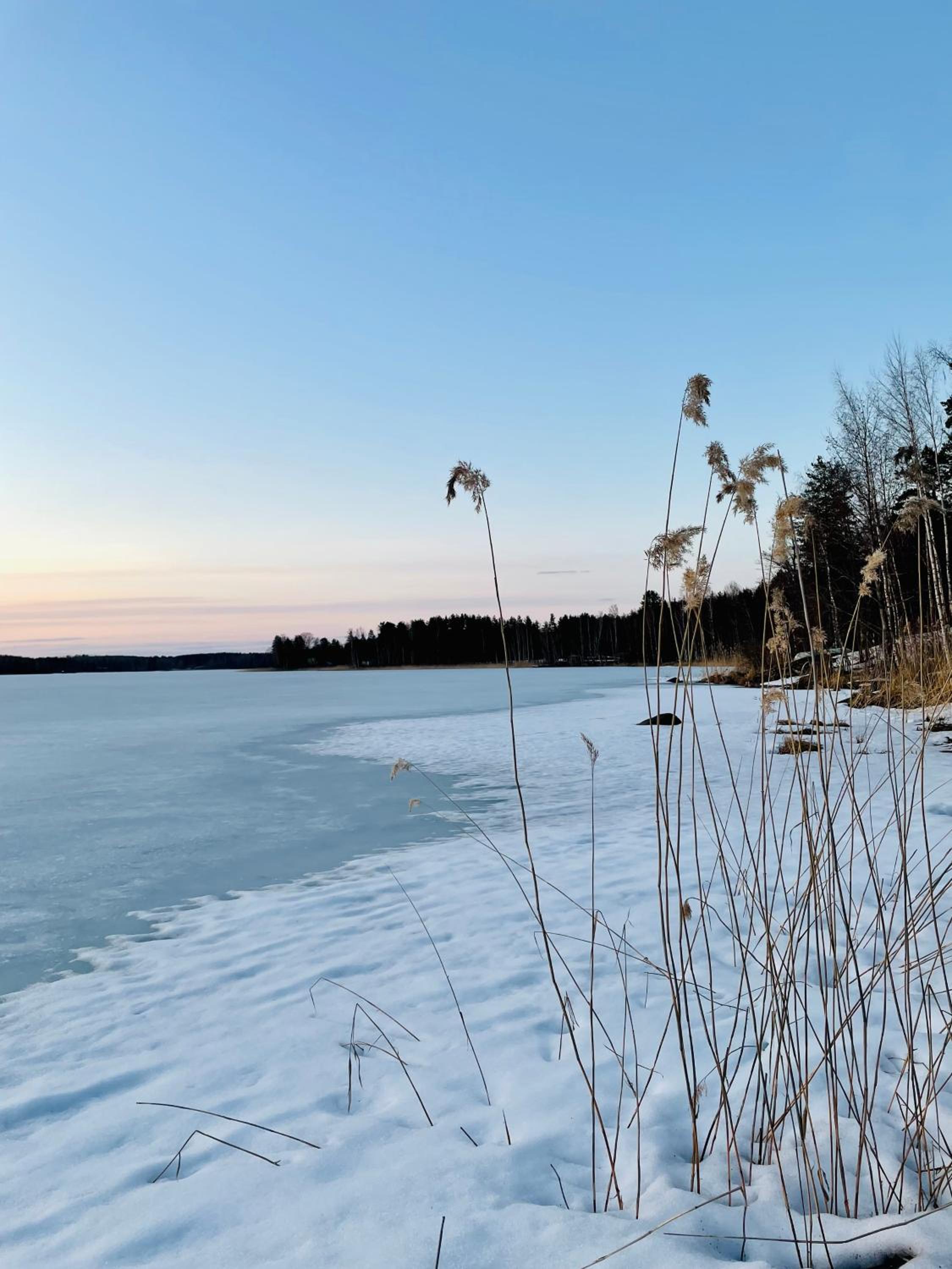 Blueberry Villa at Saimaa Lakeside
