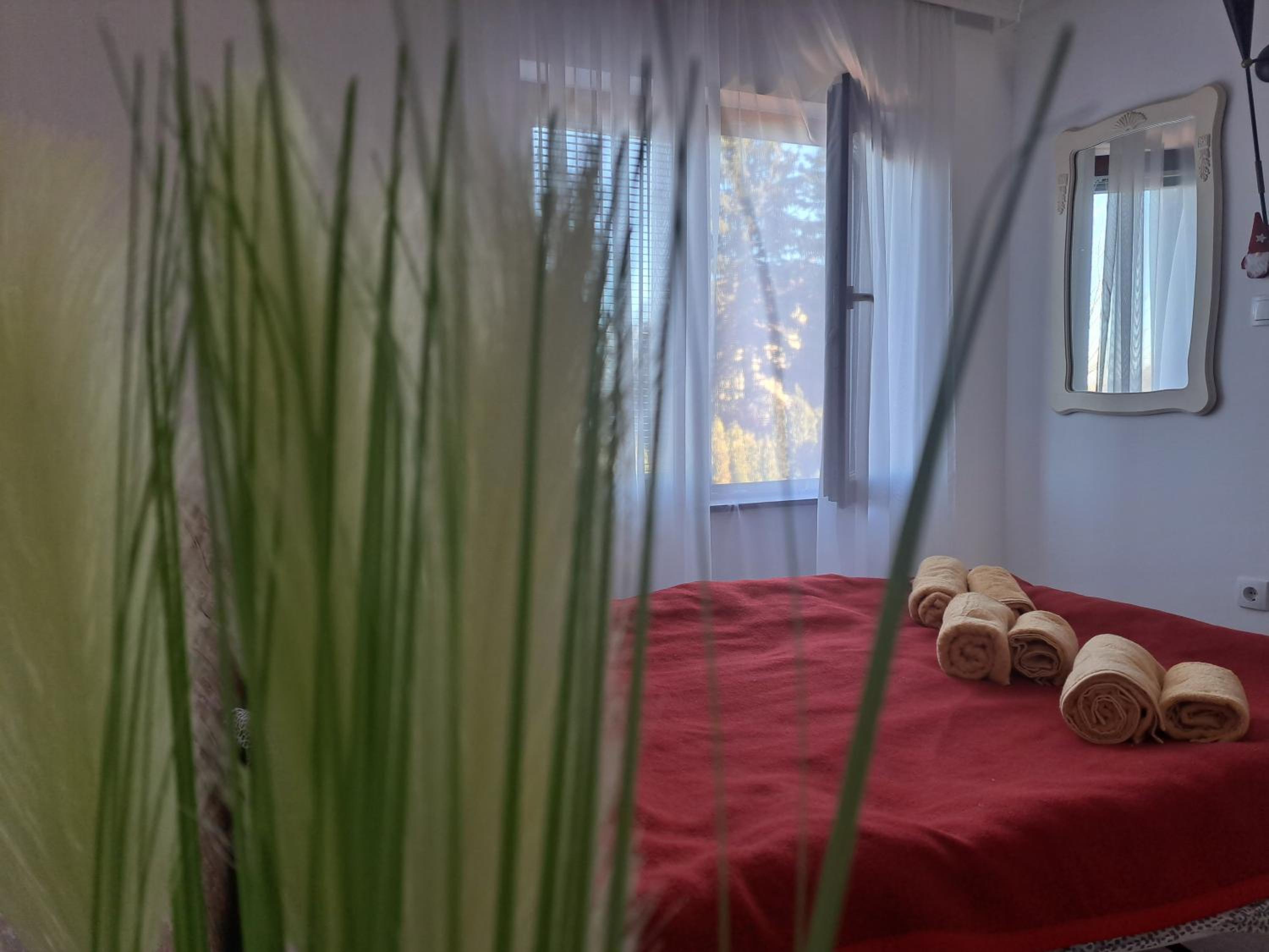 Residence Pasic