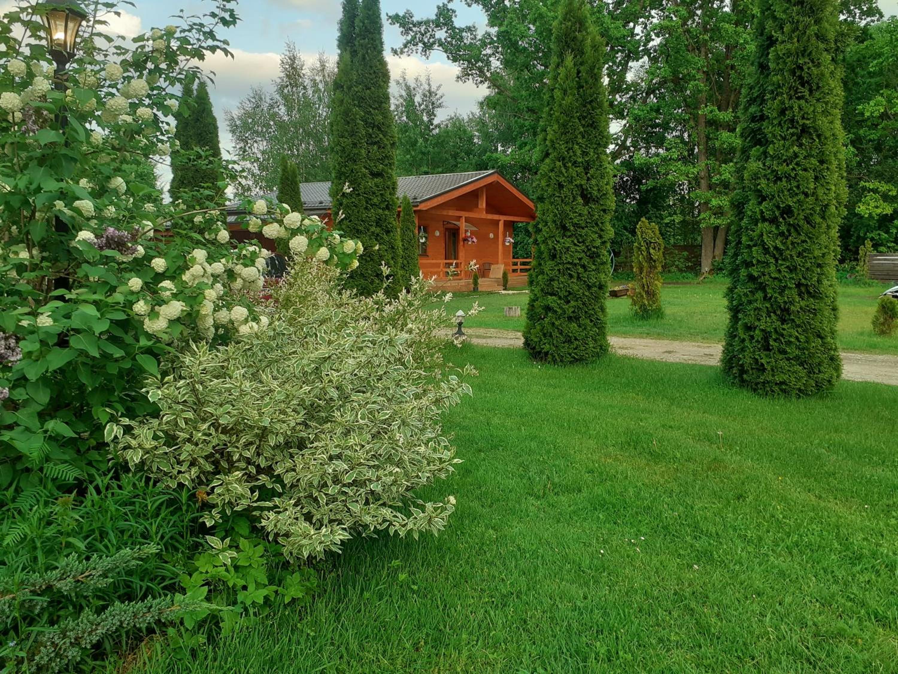 Photo 22
