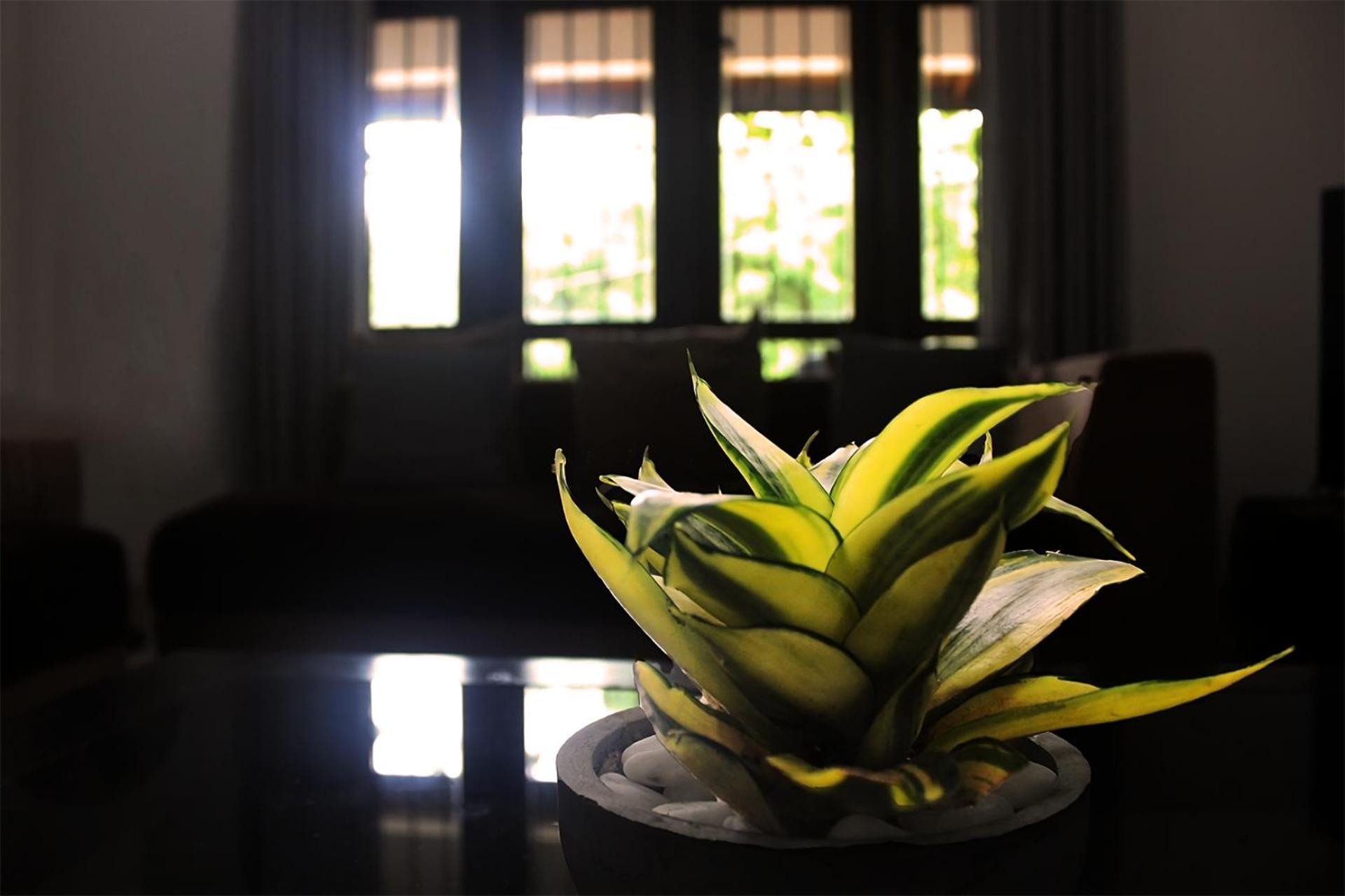 Seasons Villa Sigiriya, Sri Lanka