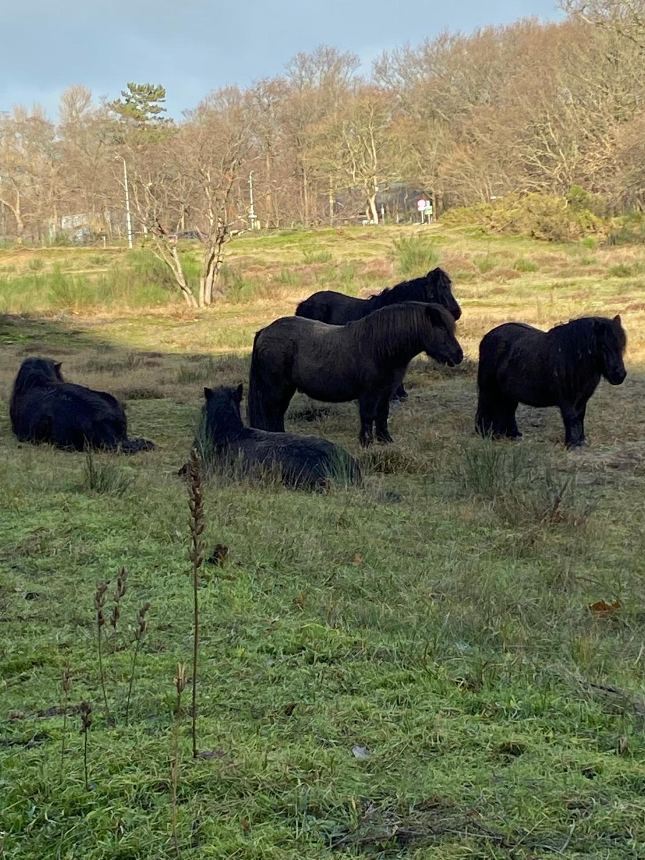 B&B Ereprijs view 3