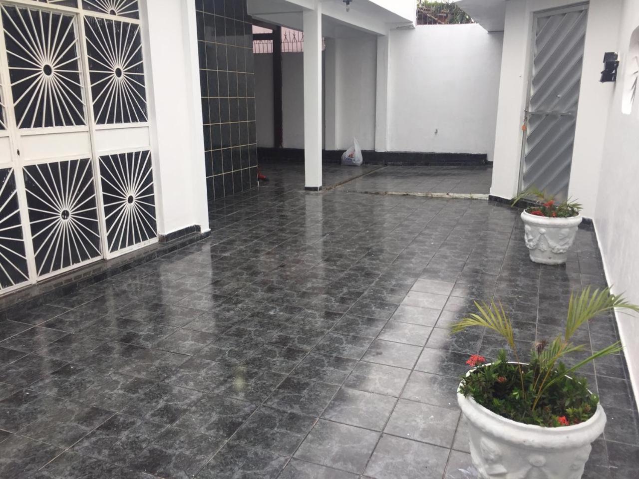 UM POUCO DE NATUREZA NO LAR
