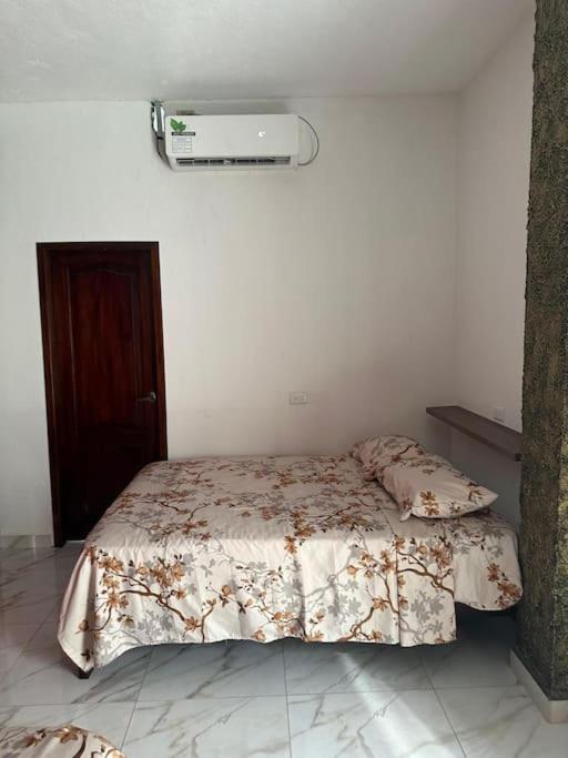 Casa Palmamar