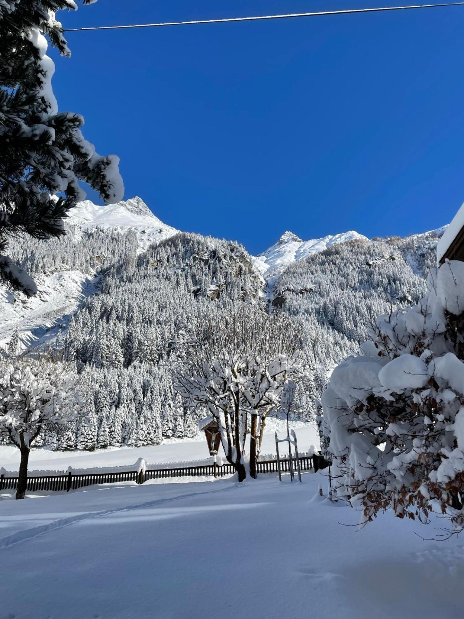 Apart Luibisblick