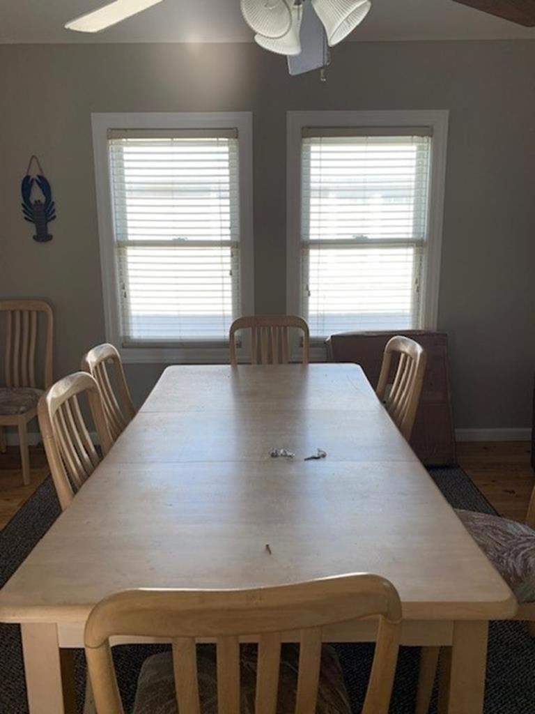 Brant Beach Ocean Side Dog Friendly view 4