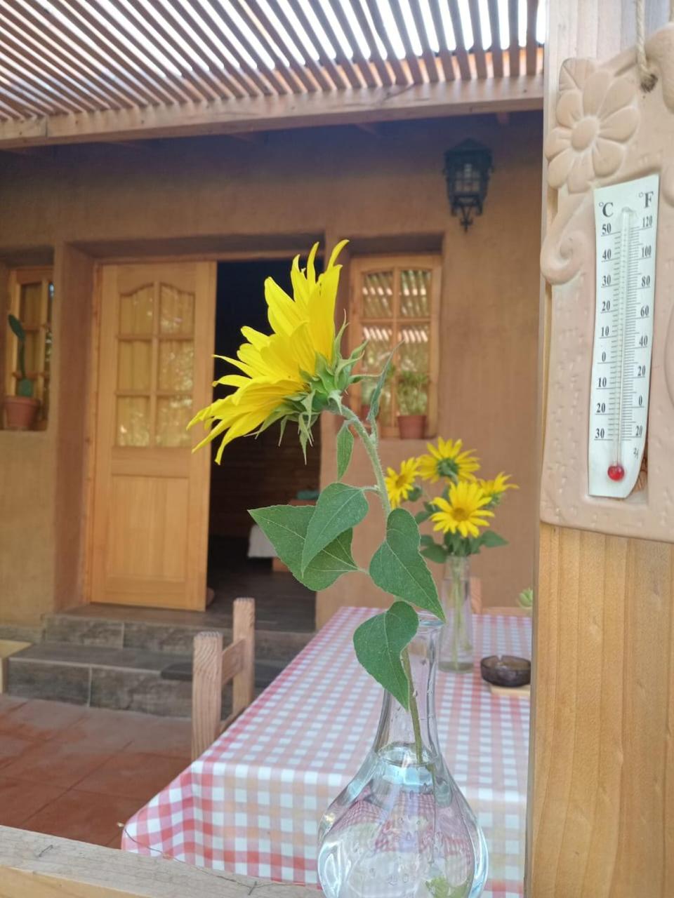 Puma Cottage