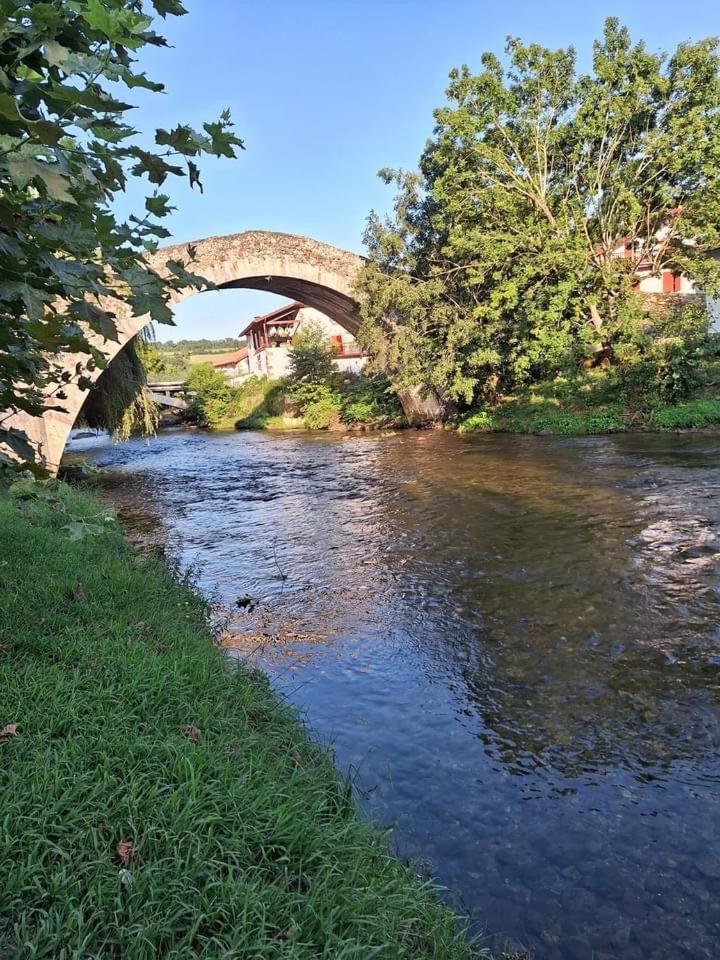 Photo 8