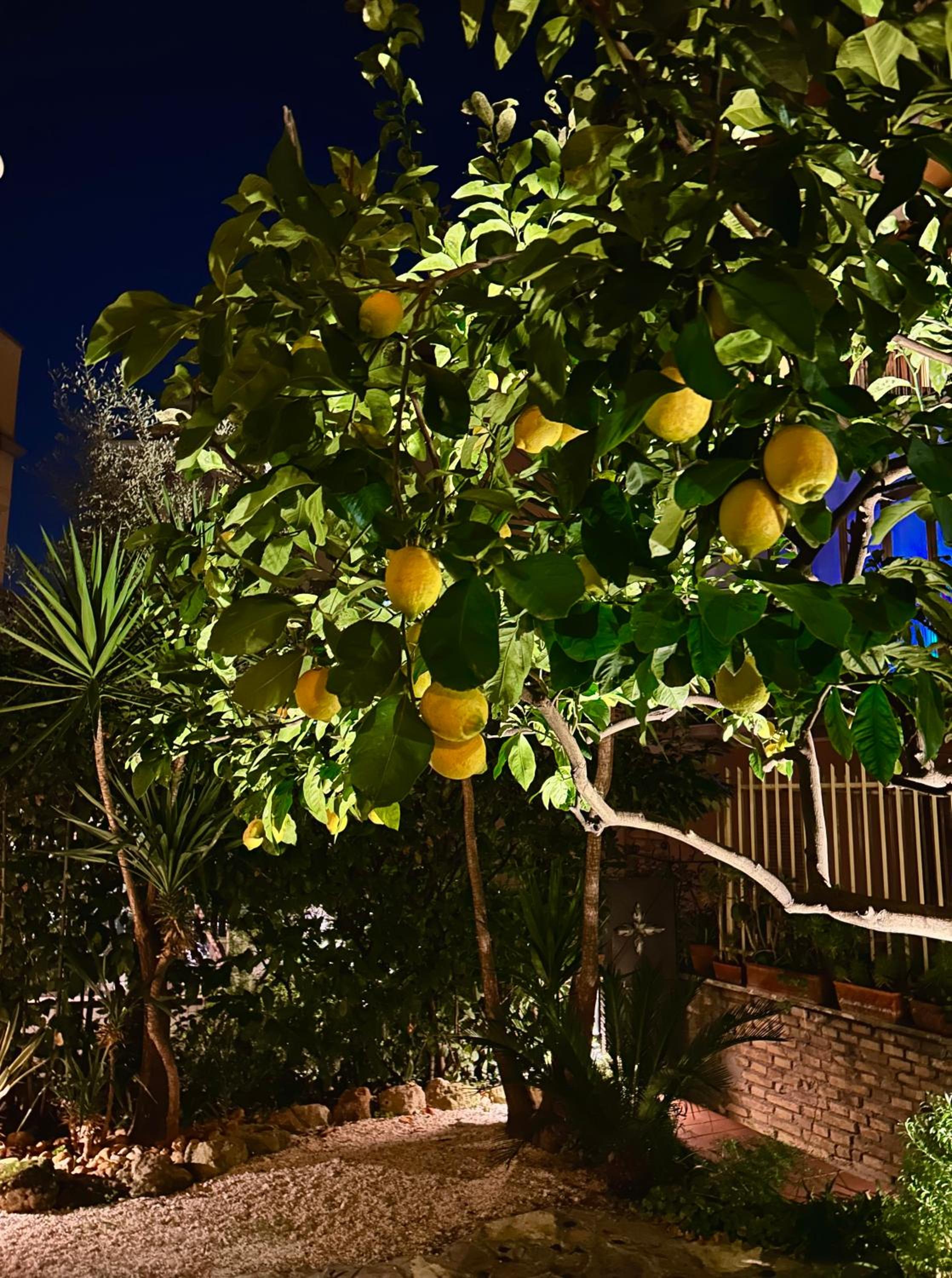 Isola Roger - Appartamento con giardino a Roma
