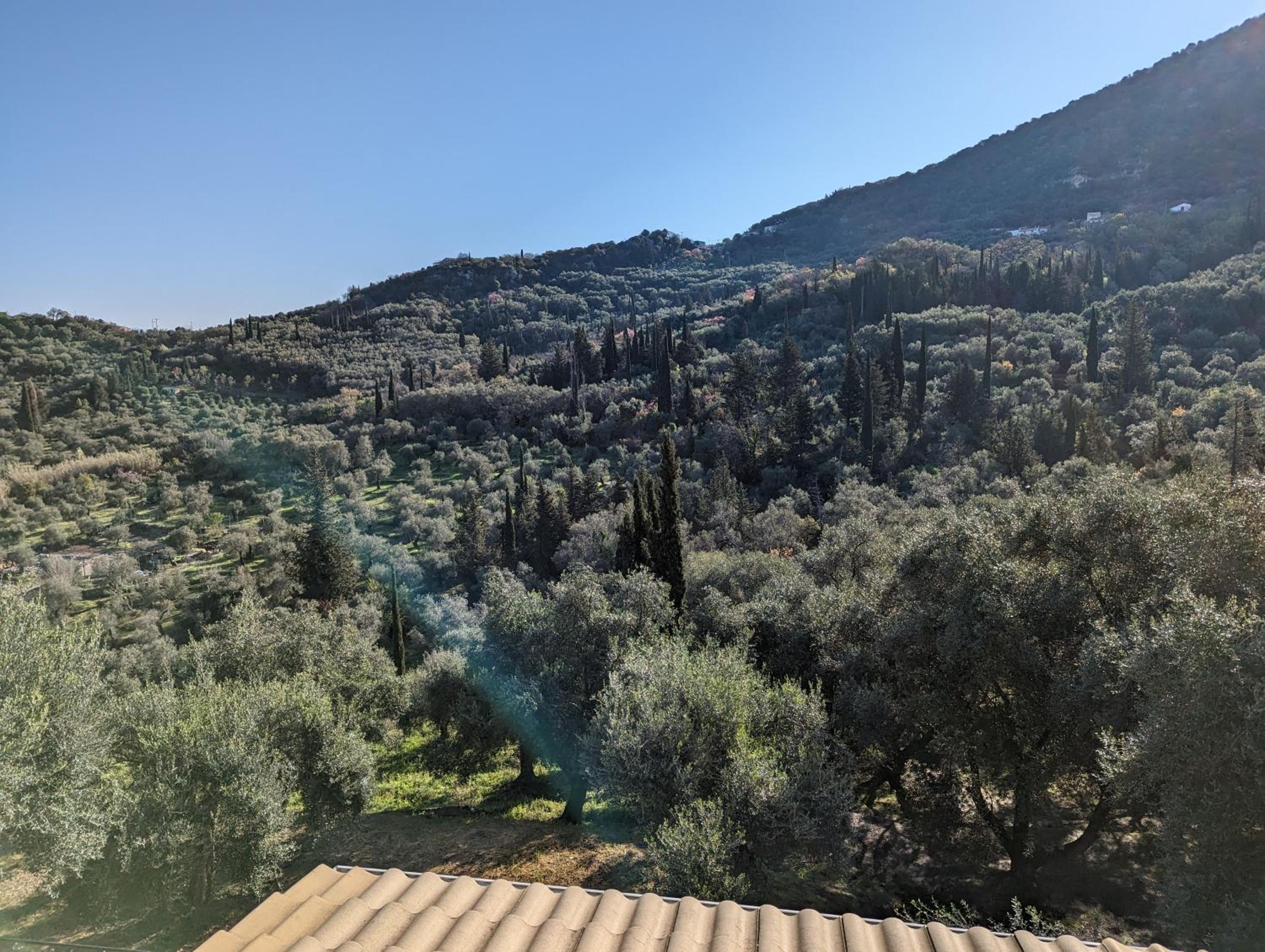 Villa Eleonas — photo 5